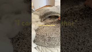 My BIGGEST crochet project ever!! #crochet #crocheter