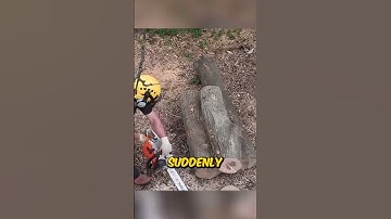 Chainsaw Kickback Explained!