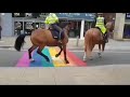Police horses spooked by lgbt rainbow colour
