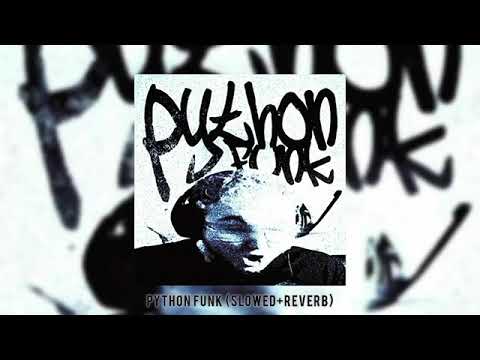 PYTHON FUNK SLOWED+REVERB PHONK SONG