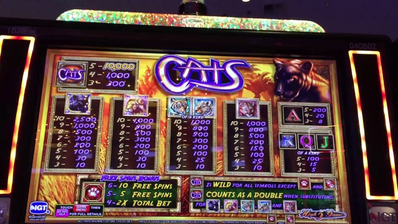 Play No Download Cats Slot Machine Free Here