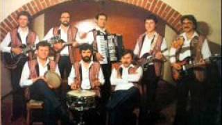 Video thumbnail of "Grupa Serenada - Srce me boli za Trpana"