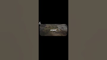 "حَافِظُوا عَلَى الصَّلَوَاتِ وَالصَّلَاةِ الْوُسْطَى وَقُومُوا لِلَّهِ قَانِتِينَ"_سورة البقرة[٢٣٨]