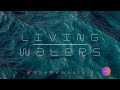 A 15 minute invitation to spend time with G-d.  #Worship #PropheticFlow #InHisPresence