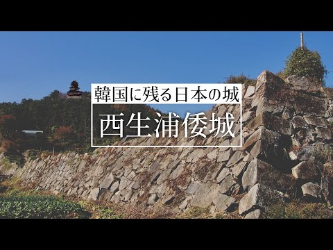 倭城と桜③加藤清正の西生浦城を歩きながら解説 서생포왜성
