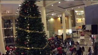 RCSI Mannequin Challenge   Christmas Edition