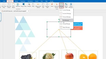 How to Work with Feedback Messages - ActivePresenter 8