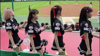 20230903 문학 KIA타이거즈 원정 아웃카운트송(삐끼삐끼)