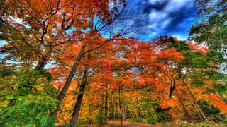 Autumn Is Coming Instrumental Music Relax Autumn Is Coming Instrumental Music Relax