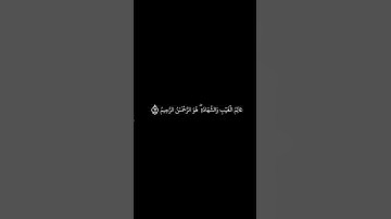 عالم الغيب والشهادة هو الرحمن الرحيم | سورة الحشر - عبدالباسط عبدالصمد