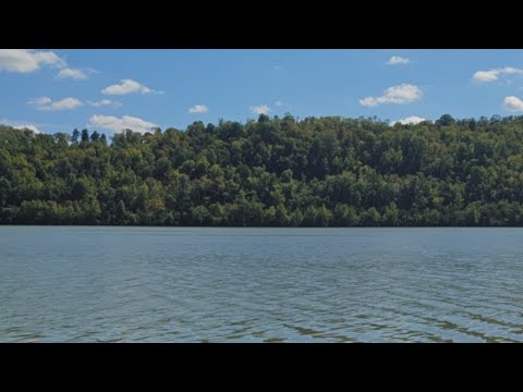 Tristate in The Wild - LIVE ????