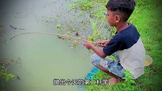 小男孩拿家里的饲料来打窝，上鱼速度非常快！#钓鱼的乐趣只有钓鱼人懂 #钓鱼