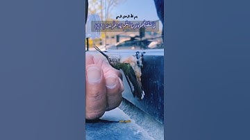 فأنزلنا من السماء ماء... تلاوة عذبة.. راحة نفسية.. قران كريم