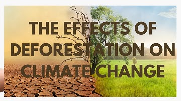 THE EFFECTS OF DEFORESTATION ON CLIMATE CHANGE - SCIENCE NET #deforestation