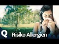 Allergie – Darum rebelliert unser Immunsystem (Ganze Folge) | Quarks