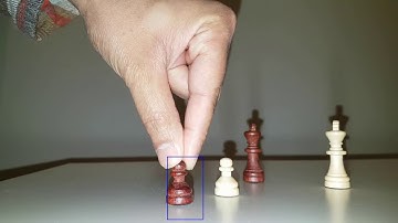 Single object tracking using detectron2