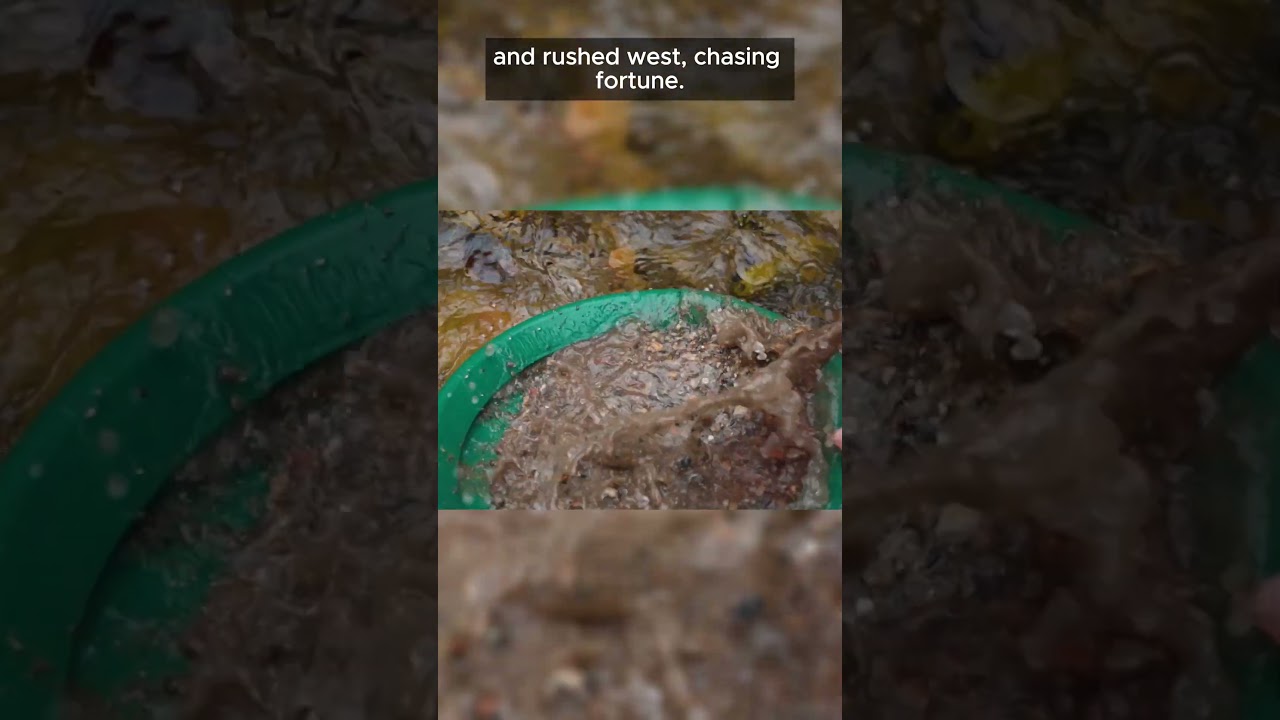 The Discovery That Made Everyone Drop Everything