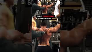 ‼️Try this shoulder superset! ✅ JOIN MY MEMBERSHIP SITE LINK IN PROFILE
