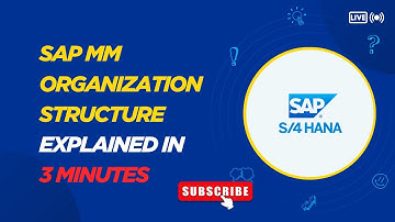 SAP MM Organization Structure Explained in 3 Minutes