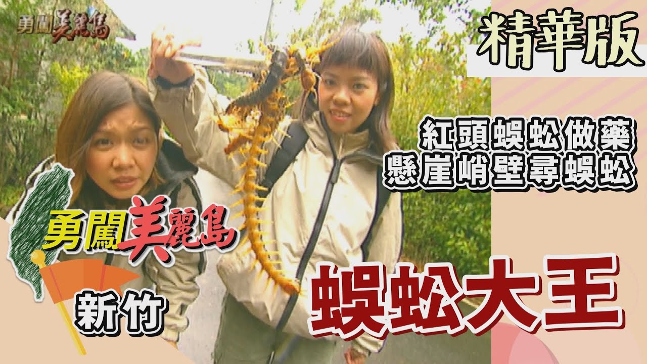 【勇闖美麗島】北埔蜈蚣大王 活捉紅頭蜈蚣賺千萬 （峭壁尋找到蜈蚣巢穴／泡製蜈蚣酒）│2001.01.03│ 28集精華版