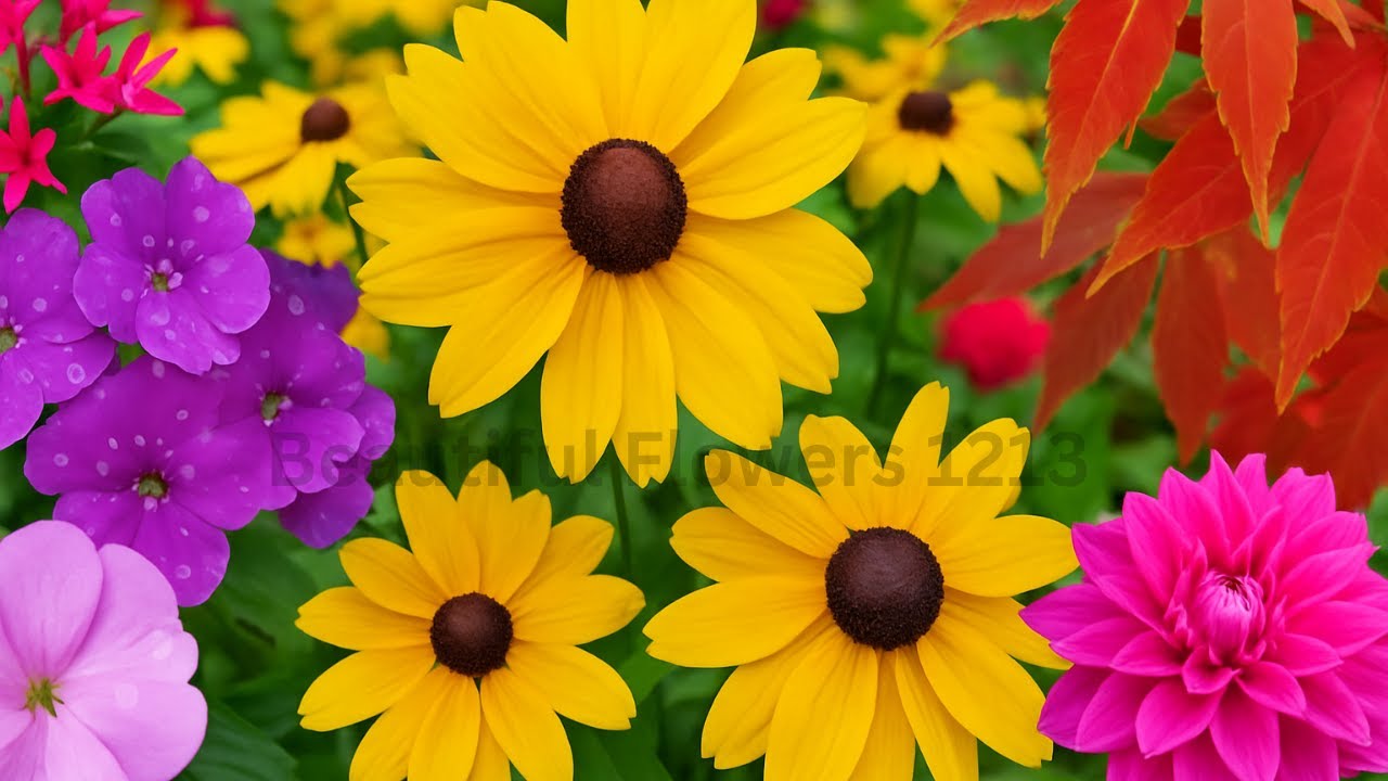 Beautiful matural flowers gardens #flowers #flower #garden #gardening #youtube