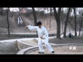 Chen Style Tai Ji Quan Lao Jia Yi Lu(陳氏太極拳 老架一路) ─ Lu Chien-Ming(呂建銘)