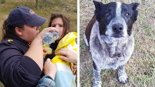 Deaf And Blind Dog Finds Missing 3-Year-Old, Keeps Her Warm For Hours Until Help Arrives