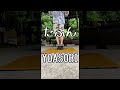 たぶん タップダンス #shorts