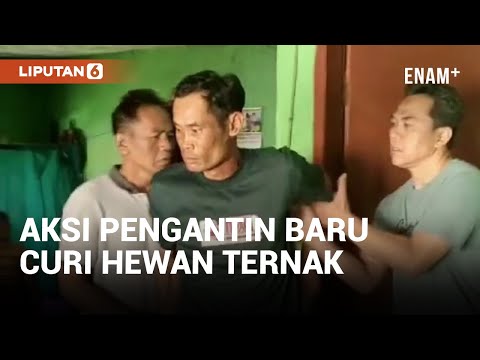 Baru Sehari Nikah, Pria di Bandung Barat Ditangkap Polisi 