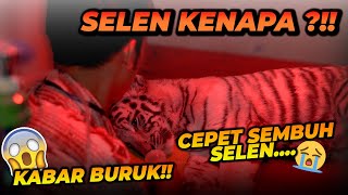 GET WELL SOON SELEN ! SELEN KECELAKAAN AKIBAT HAL KECIL YANG TERLIHAT SEPELE TAPI BERAKIBAT FATAL !