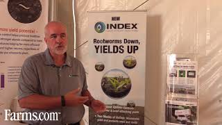 Corn Rootworm Protection Options From AMVAC