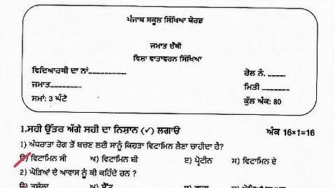 PSEB class 4 EVS sample paper #pseb #solved #samplepaper #cbse #class4
