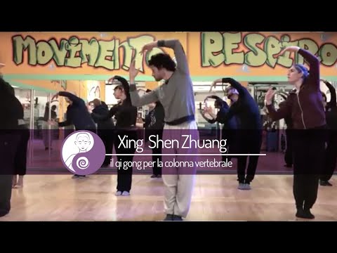 Xing Shen Zhuang - Il qi gong per la colonna vertebrale