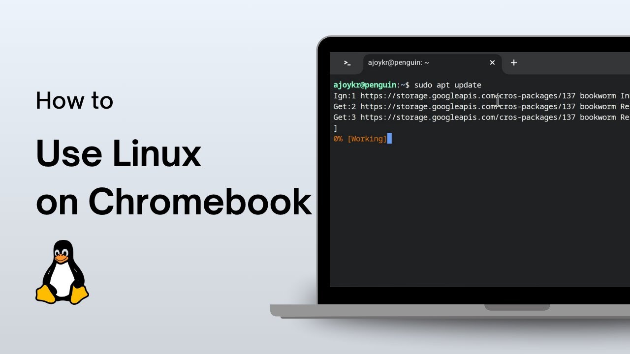 How to Use Linux on Chromebook - YouTube