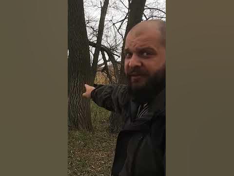 Аномалия в лесу, увидел своего двойника - YouTube