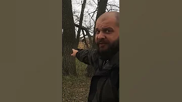 Аномалия в лесу, увидел своего двойника