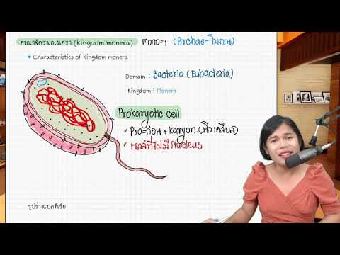 overview -Biodiversity (ความหลากหลายทางชีวภาพ) เทปที่ 3 Monera