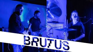 Video thumbnail of "Brutus — A Forest (The Cure cover) | StuBru LIVE LIVE | Studio Brussel"