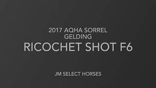 Ricochet Shot F6  2017 AQHA Sorrel Gelding