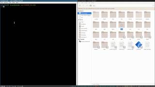 SCREEN_KILLER - Demo I - Terminal Logging