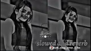 #Lofi_song_lover_1.3m || Pandey ji ka beta hoon chumma || ( Slowed and reverb ) Bhojpuri Song 🎧