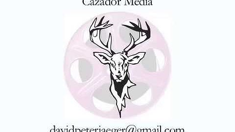 David Jaeger - Non Linear Editor