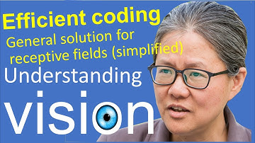Understanding vision book:  Chap 3, Efficient Coding,  9_2: general solution for RFs (simplified)
