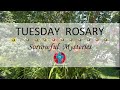 Tuesday Rosary • Sorrowful Mysteries Of The Rosary 🠜 July 22 2025 Multiple Languages Available Tuesday Rosary • Sorrowful Mysteries Of The Rosary 🠜 July 22 2025 Multiple Languages Available
