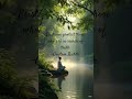 Gautam buddha quote 💫💯#relax #awareness #osho #consicousness #love #nature #buddha #mindfulness
