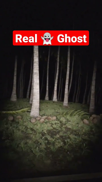 Bhoot|Real Ghost video|Real Bhoot video#shorts #bhoot #shortvideo