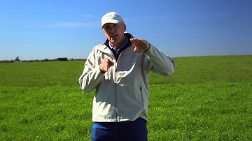 Building a feed wedge