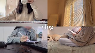 sub) My productive workday diaries | waking up at 5am, life with dog and cat, cooking at home, vlog