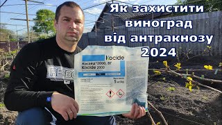 :      2024