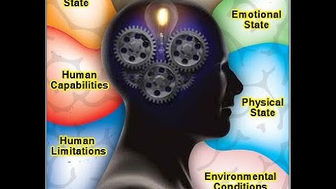 Human Factors In Aviation